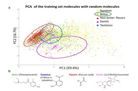 Computerized Prediction of Taste Recognition (Bitter and Sweet)
